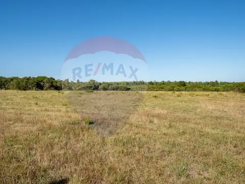Chacra Marítima en venta - Las Flores