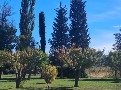 AVENIDA DE LOS PRODUCTORES