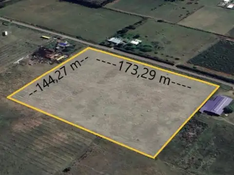 Camino al Obelisco 6600