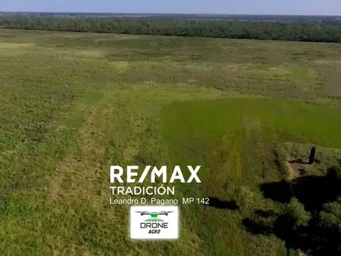 Campo en Venta – 77has Colonia José Mármol