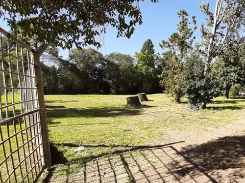 Terreno en Venta 50  mts Frente