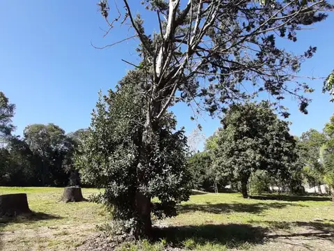 TALCAHUANO 4600, CANNING