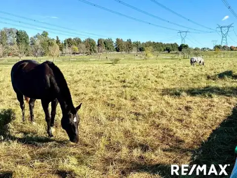 Terreno en Venta en Altos De Manzanares, USD 89.000