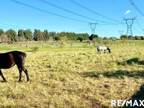Terreno En Venta En Altos De Manzanares, Pilar