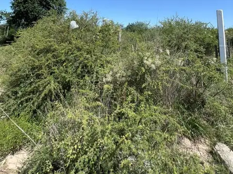 Terreno en Venta de 1017,0 m2