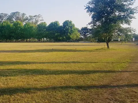 Terreno  de  6.000 m2 en Chacras de la Cruz