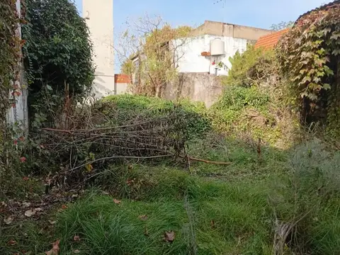 Terreno en Venta 8  mts Frente