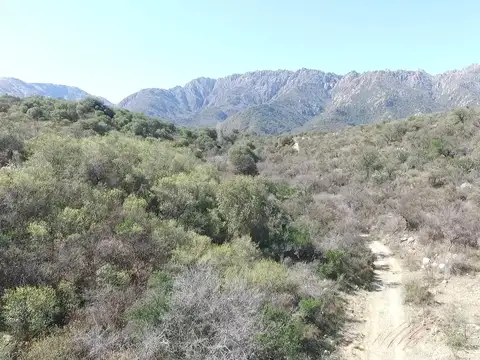 Terreno en Venta en Cortaderas, Chacabuco