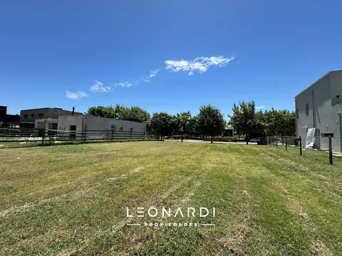 El Cazal - Lote 36