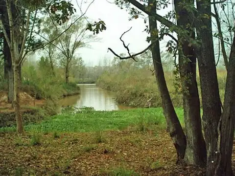 Ruta 25