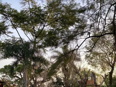Alquiler de casa quinta en Santa Rosa de Calchines