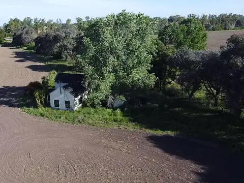 campo de 35 hectareas sobre ruta 8 - solis