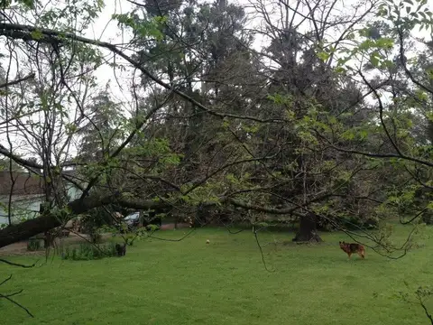 Terreno en Venta de 7668,0 m2