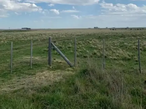 Libano
