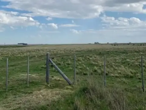 Campo Agrícola De 100 Hectáreas En Venta General Lamadrid