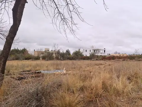 Terreno en Venta en Vistalba, Lujan de Cuyo