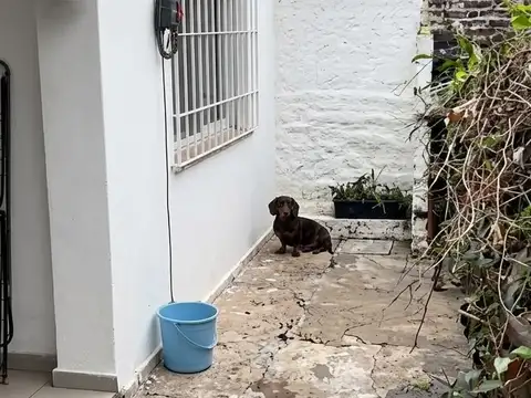 PH en Alquiler en Villa Adelina, Partido de San Isidro