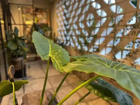 Depto Tipo Casa en Venta en Villa Santa Rita, USD 299.000