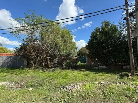 LARRALDE 800