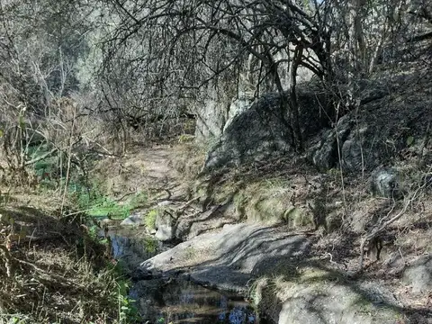 Campo en Venta Ganadero