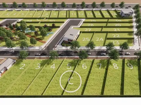 PREVENTA LOTES. El Chañaral y Las Vírgenes. Las Paredes, San Rafael