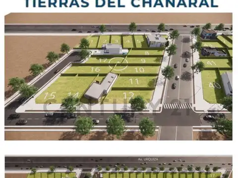 PREVENTA LOTES. El Chañaral y Las Vírgenes. Las Paredes, San Rafael