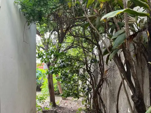 Estanislao de Campo 100