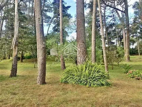 Terreno en Venta en Punta del Este, USD 325.000