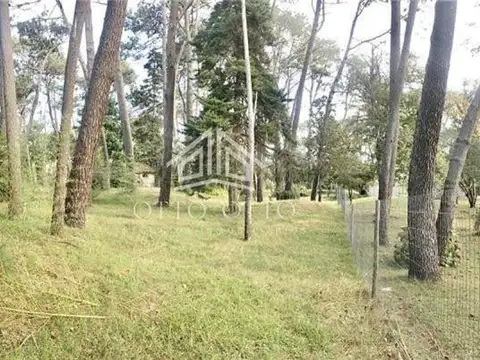 Terreno en Venta de 2446,0 m2