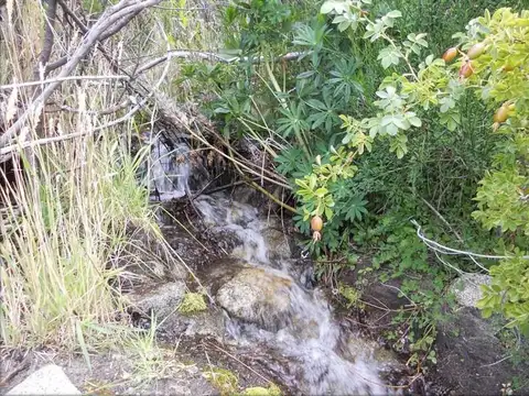 Terreno en Venta de 75143,0 m2