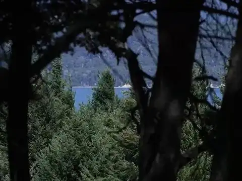 Huemul - Ruta 40