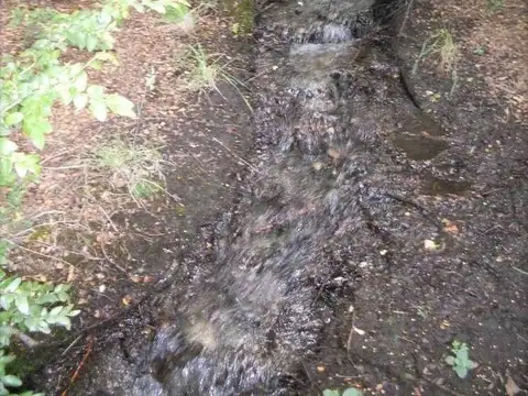 Fraccion de terreno zona Huemul