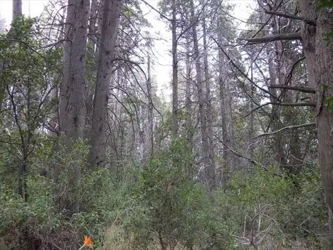 Terreno en Venta 106  mts Fondo
