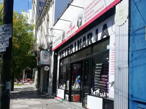 Alte F Segui 890