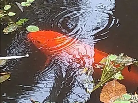 Casa en Alquiler Temporal en Guernica, $ 280.000