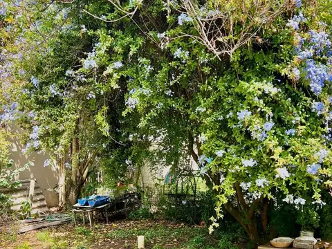 Terreno en Venta de 310,0 m2