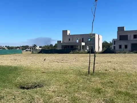 Terreno en Venta 31  mts Fondo