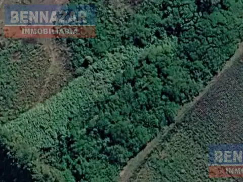 Venta Campo 11 Hectáreas en Río Tala