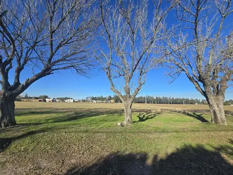 Zona Urbana