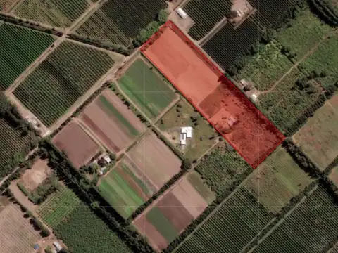 VENTA CHACRA 3,1 HECTAREAS EN VISTA ALEGRE SUR