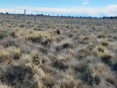 Terreno en Venta en Ataliva Roca, USD 7.500