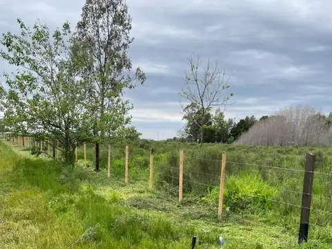 Terreno en Venta de 3200,0 m2