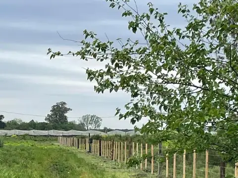 Lote en Venta, La Plata