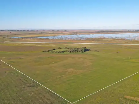 General Guido - 157 ha