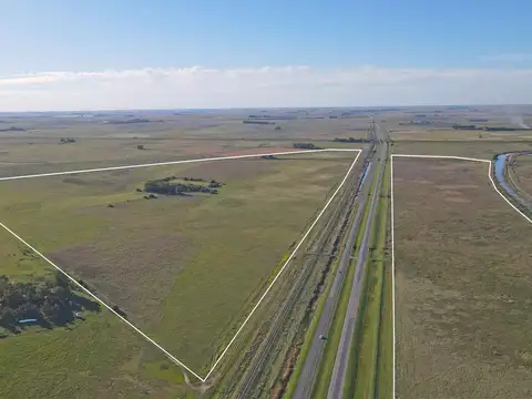 General Guido - 157 ha