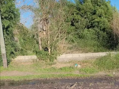 VENTA DE LOTE -CRUCE RUTA 24 Y RUTA 25  MORENO