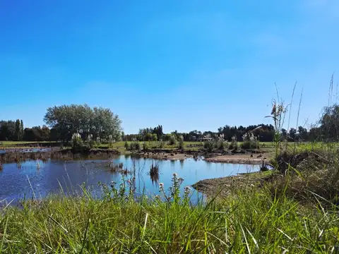 Terreno en Venta de 10000,0 m2