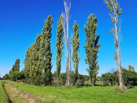 Terreno en Venta en Estancias Las Lilas, USD 45.000