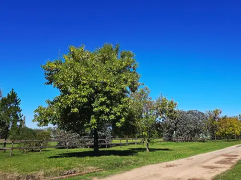 Terreno en Venta de 10000,0 m2