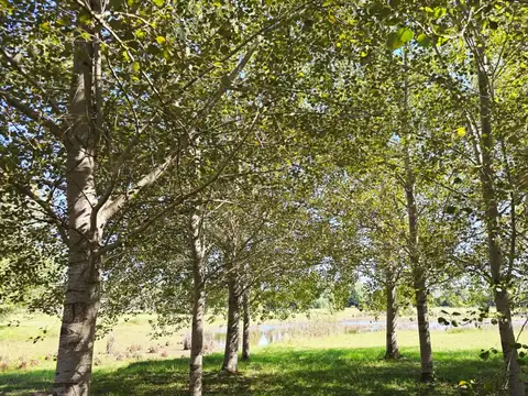 VENTA LOTE TERRENO LUJAN LAS LILAS CHACRA HARAS
